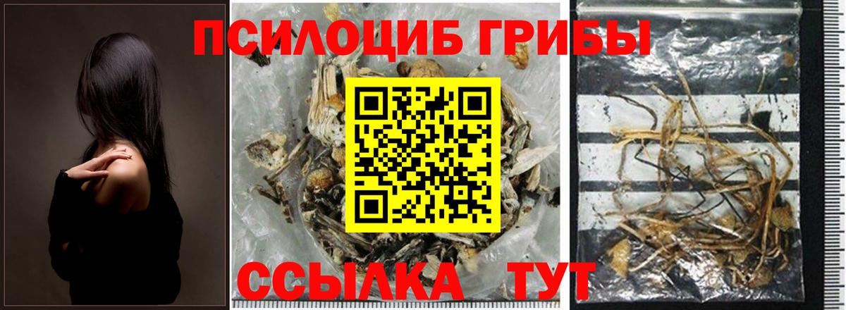 Галлюциногенные грибы мицелий Малгобек